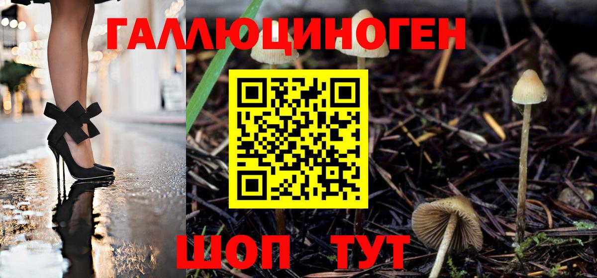 Псилоцибиновые грибы мухоморы Вязники